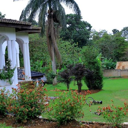 Motel Egg Botanical View Entebbe Exterior foto