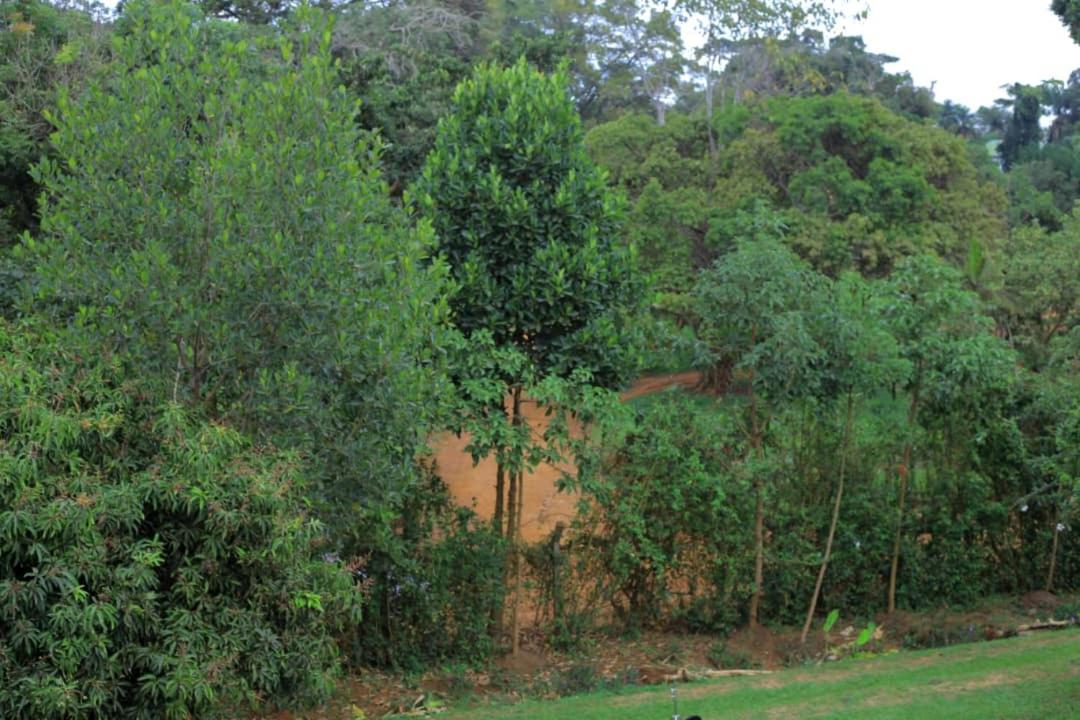 Motel Egg Botanical View Entebbe Exterior foto